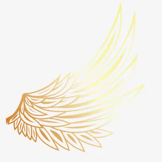 游戏角色翅膀免抠