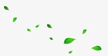 绿叶漂浮免抠