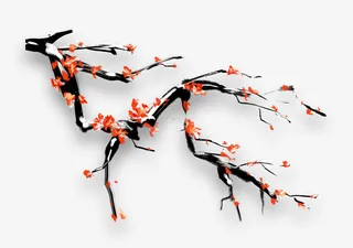 梅花免抠png素材免抠