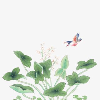 古风彩绘绿叶小鸟免抠
