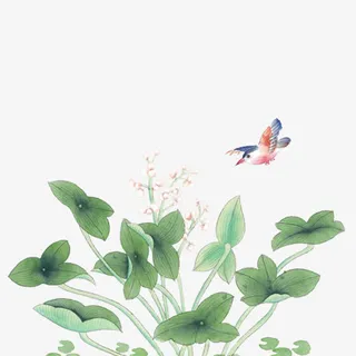 古风彩绘绿叶小鸟免抠