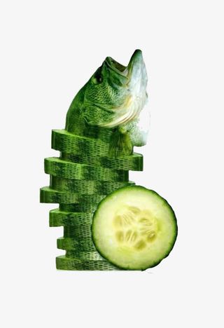 创意蔬菜设计免抠