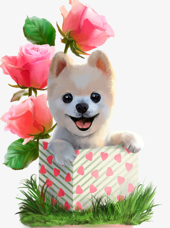 粉色玫瑰花免抠