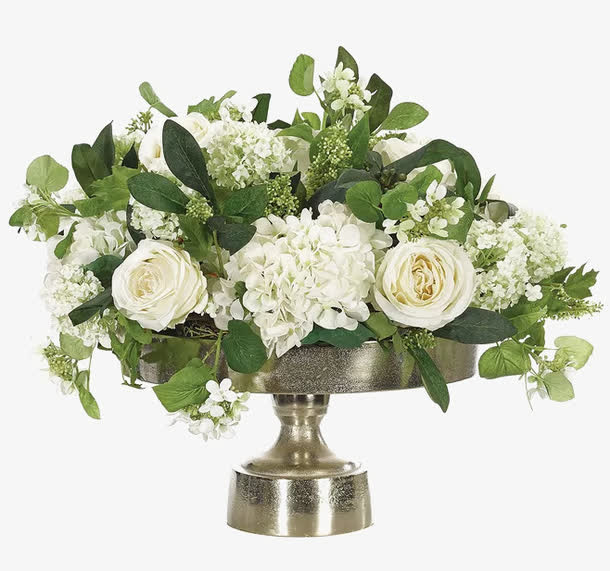 绿叶白花植物盆栽免扣png免抠