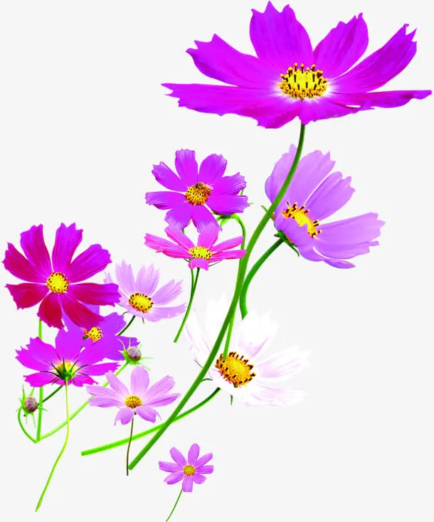 春天粉色手绘促销花朵免抠