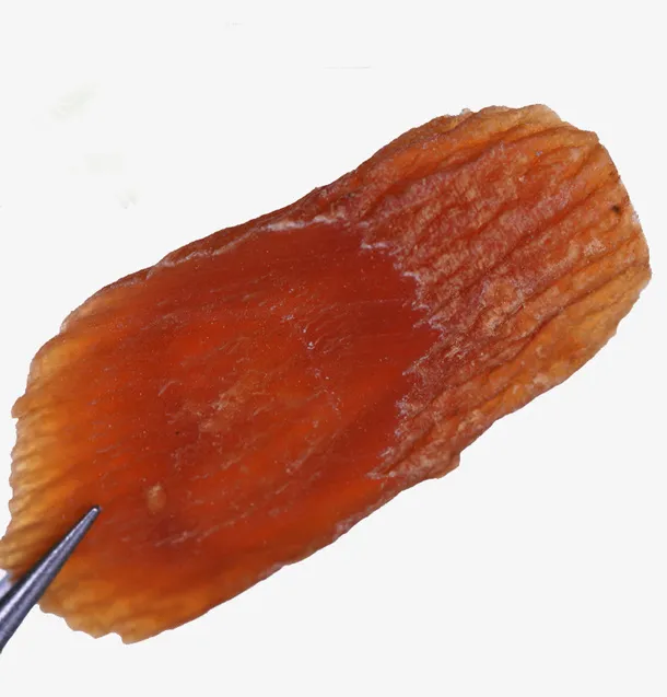 西洋参大小片免抠