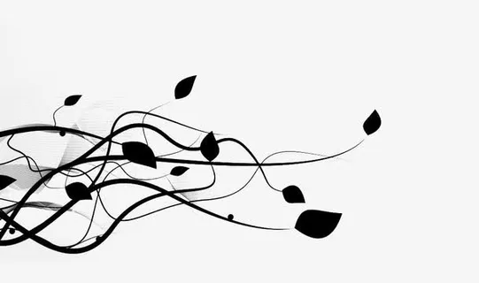 黑色树叶藤蔓蔓延背景