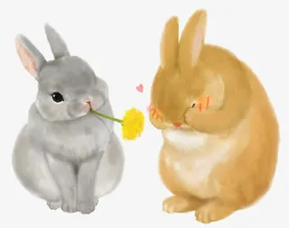 兔子免抠