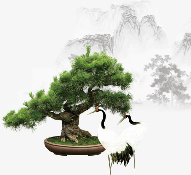 松树素材免抠