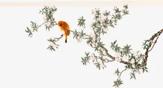 中国风鹦鹉绘画素材免抠