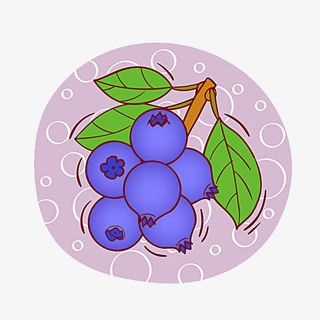 蓝莓图标免抠