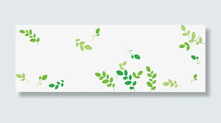 树木树叶免抠