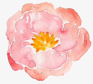 森系手绘水彩花朵免抠