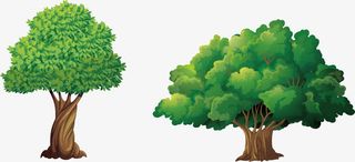 漂亮榕树免抠手绘/卡通卡通元素