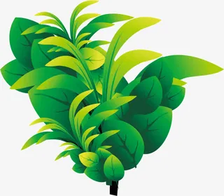 黄绿色春天手绘植物免抠