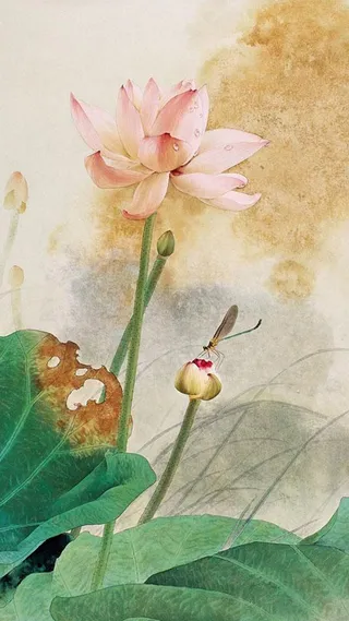 荷花绽放H5背景素材高清