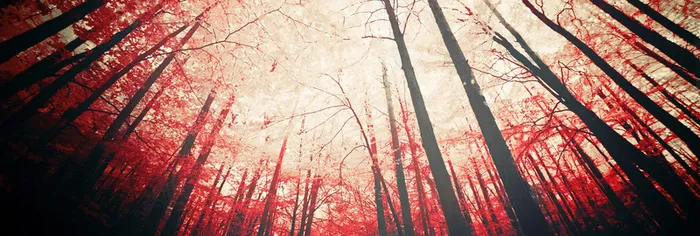 创意背景高清