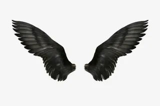 黑色羽翼翅膀免抠