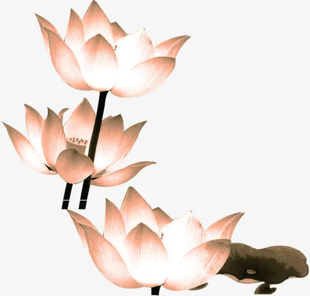 传统水墨莲花文化免抠