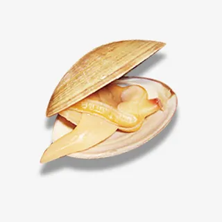 可口美味的海鲜免抠