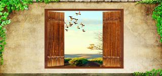 创意树藤墙壁小清新背景图高清