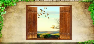 创意树藤墙壁小清新背景图高清