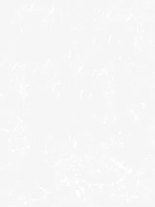 白色斑斓花纹免抠