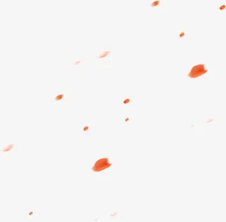 漂浮花瓣免抠