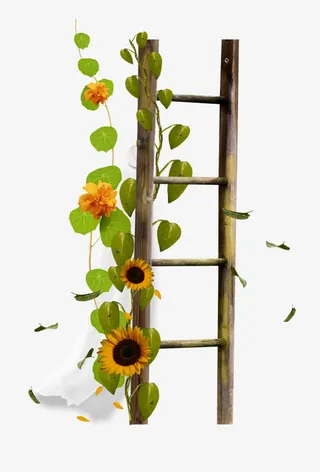 水彩花卉花卉边框图片免抠