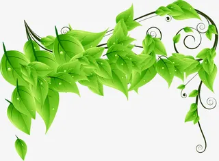 手绘春季清新郊游植物免抠