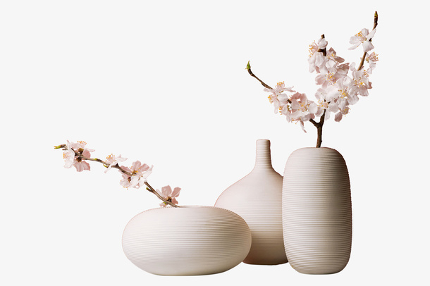 花，花瓶，木枝，白色免抠