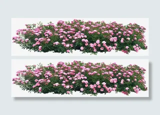 鲜花psd素材手绘鲜花图片免抠