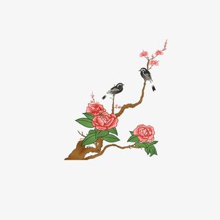 手绘花鸟树枝元素图免抠