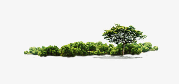 树丛林免抠