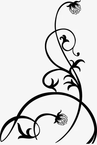 花纹装饰物免抠