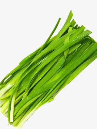 新鲜韭菜免抠