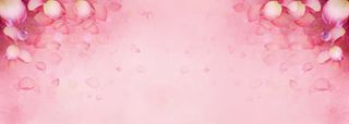 粉色花瓣背景
