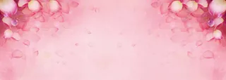 粉色花瓣背景