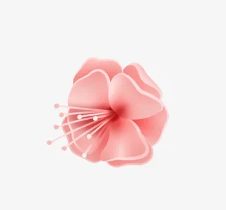 中国风春节矢量元素花朵免抠