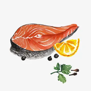 手绘三文鱼柠檬薄荷叶免抠