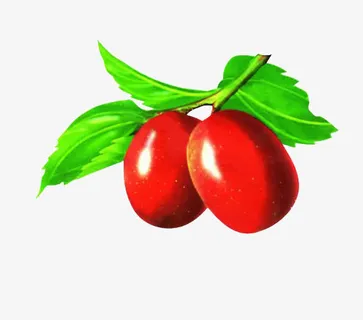 水果枣子漂浮花瓣气泡简洁大方树免抠