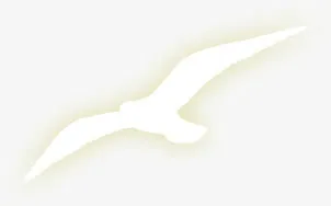 设计海报大雁效果免抠