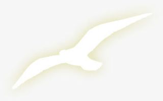 设计海报大雁效果免抠