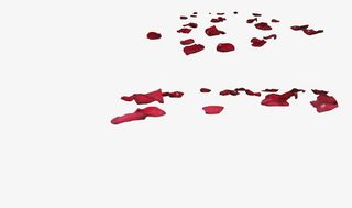 情人节妇女节三八节花瓣免抠