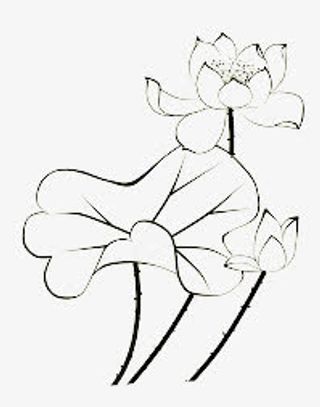 荷花简笔画免抠
