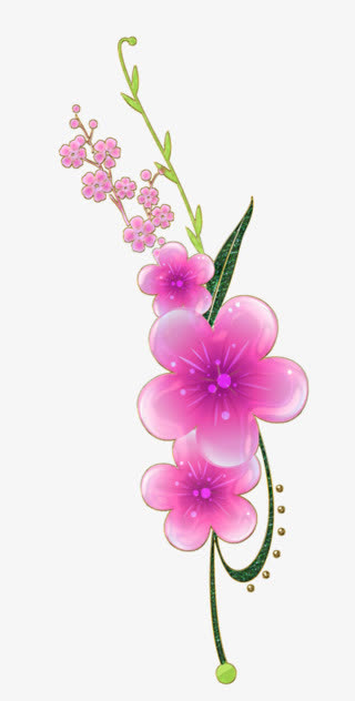 粉色花卉免抠