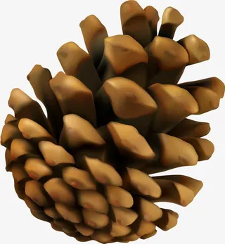 咖啡色卡通松果免抠