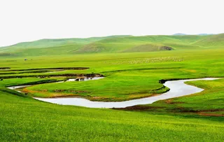 呼伦贝尔草原风景图免抠