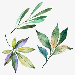 春天手绘水彩绿叶装饰免抠