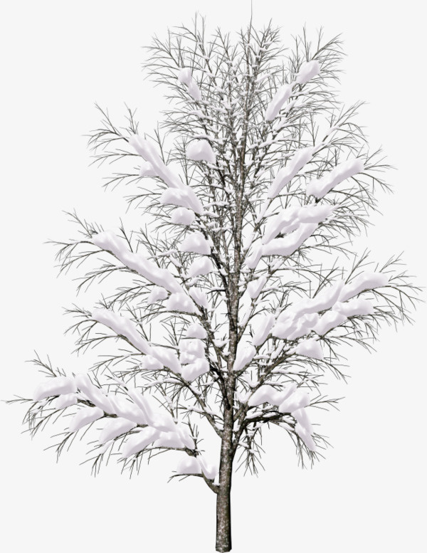 绿色大树上的积雪免抠